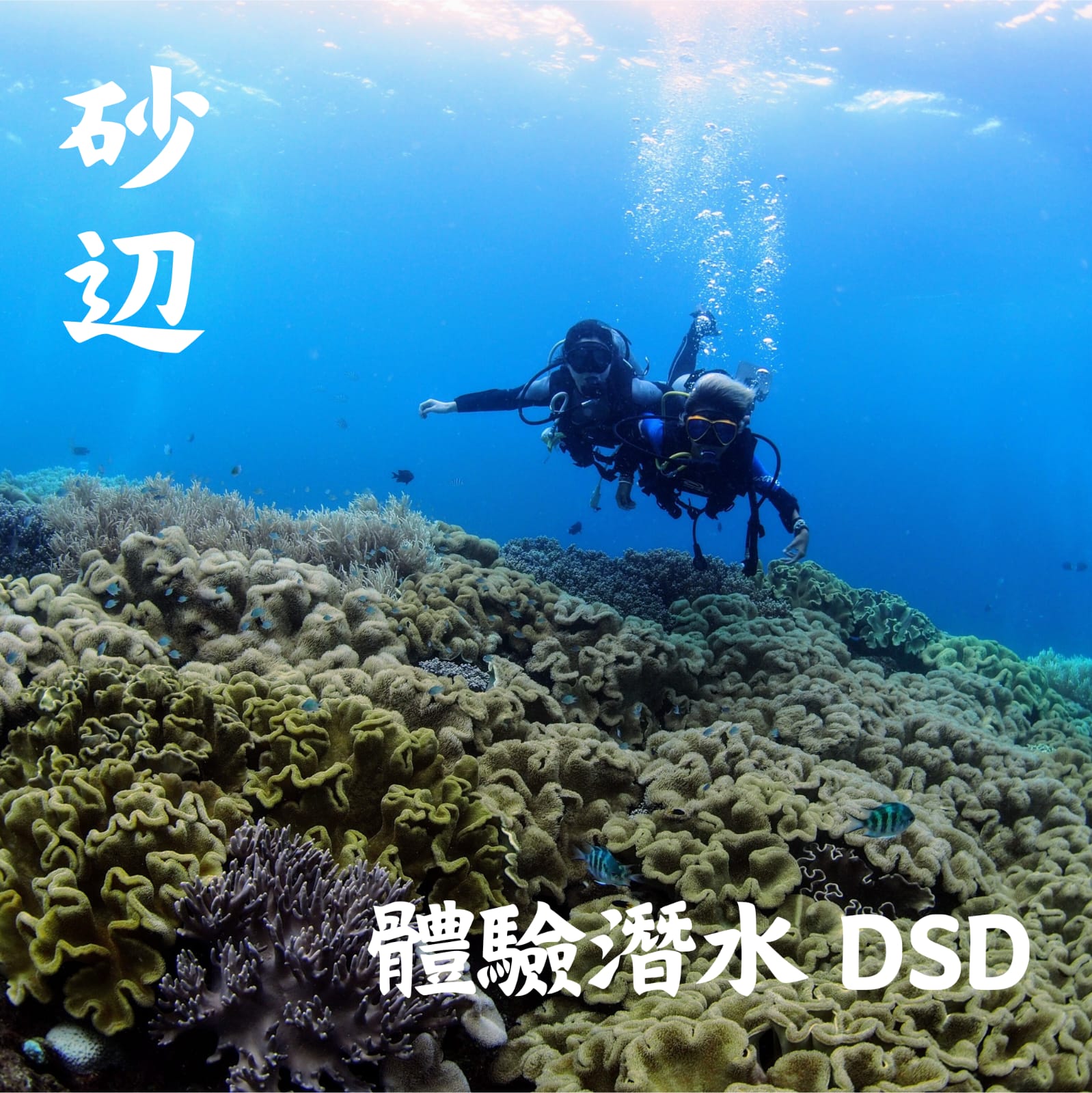 WhatsApp Image 2024-09-26 at 12.17.19