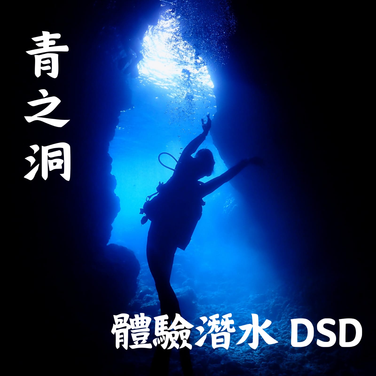 WhatsApp Image 2024-09-26 at 12.30.18