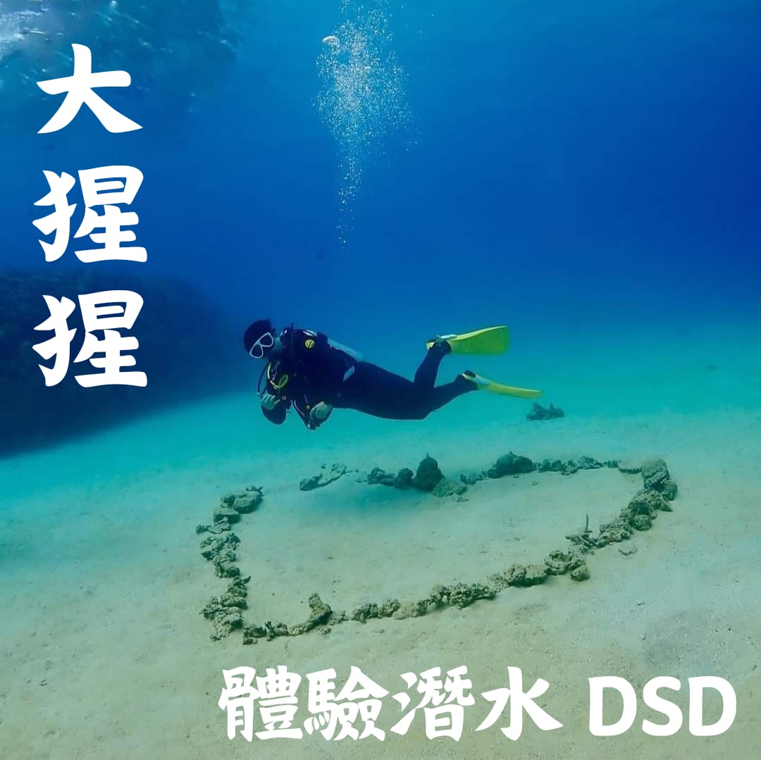 WhatsApp Image 2024-09-26 at 13.07.35