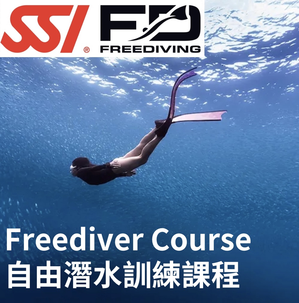 自由潛水訓練課程