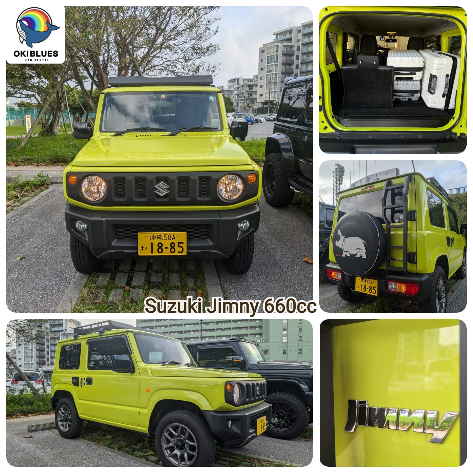 WhatsApp Image 2024-11-03 at 13.30.16