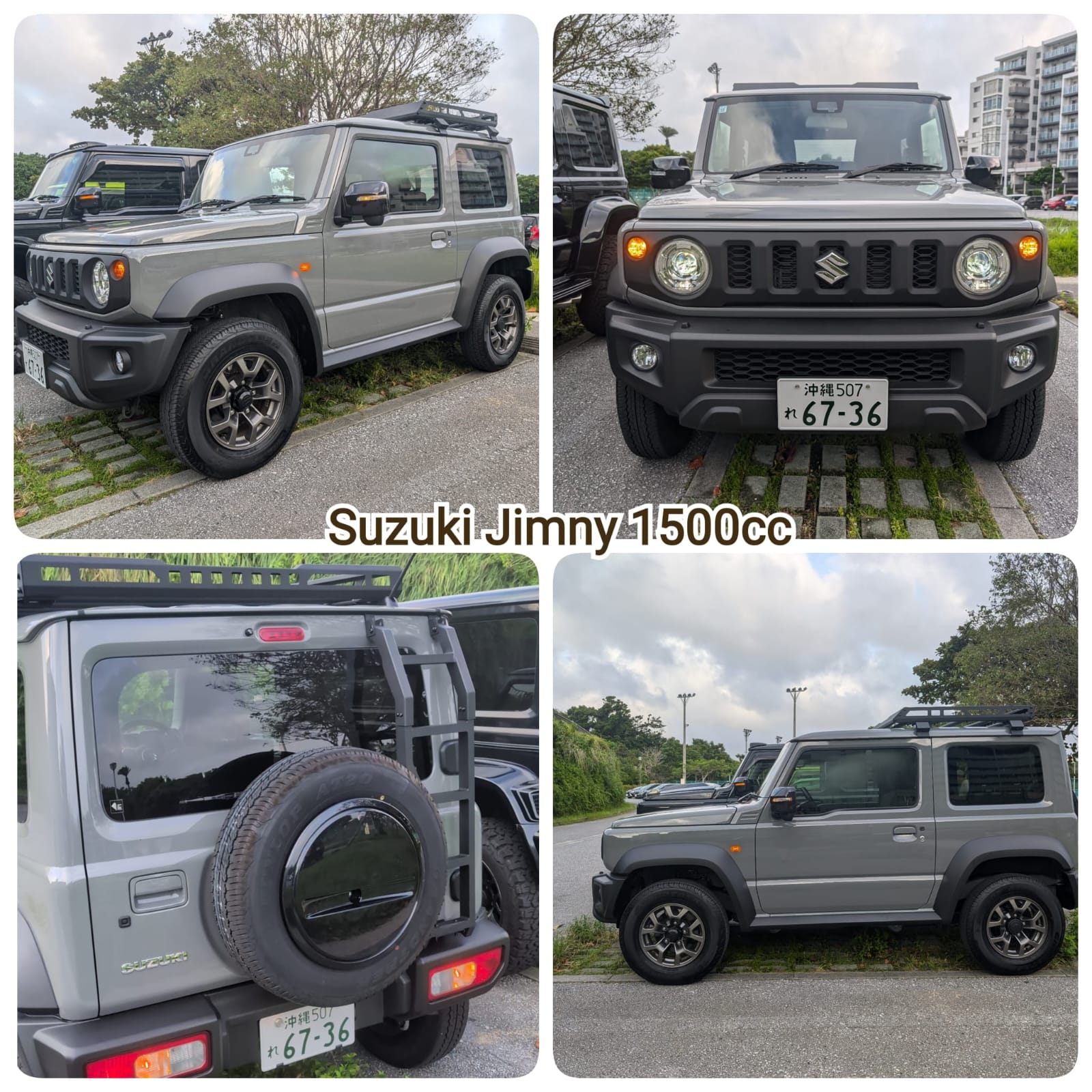 WhatsApp Image 2024-11-08 at 15.55.22